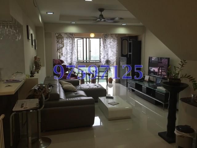 Blk 543 Jelapang Road (Bukit Panjang), HDB Executive #104806862